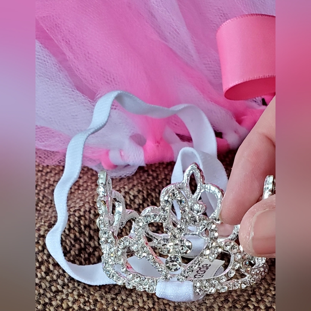 Pink Dog Tutu with Silver Crown Encrusted With Diamond Like Gems